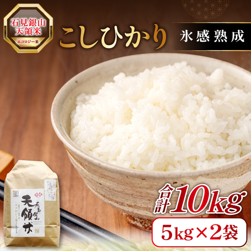 石見銀山天領米(氷感熟成エコロジー米こしひかり)10kg(5kg×2袋)[コシヒカリ 10kg こしひかり お米 精米 島根県産 大田市産 米 氷感熟成 エコロジー米 減農薬 減化学肥料]