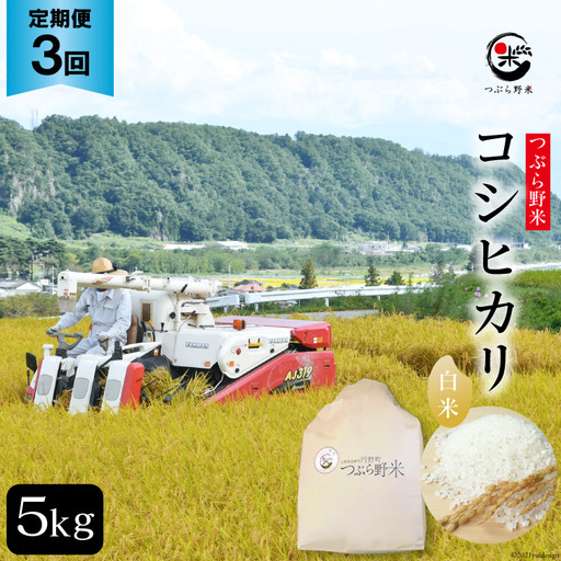 米 令和8年 3回 定期便 つぶら野米 コシヒカリ 白米 5kg×3回 総計15kg