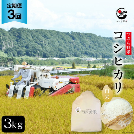 米 令和8年 3回 定期便 つぶら野米 コシヒカリ 白米 3kg×3回 総計9kg
