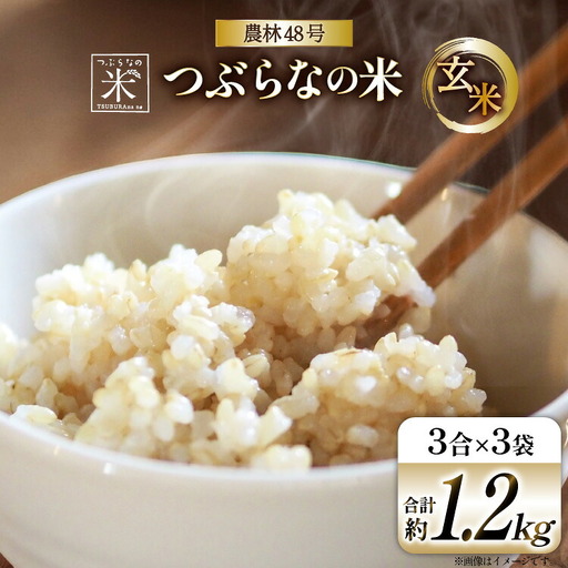 令和7年 米 農林48号 玄米 3合 3袋