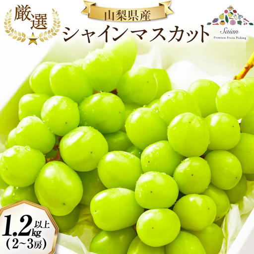 【2026年発送】先行受付 シャインマスカット 予約 約 1.2～1.3kg 2～ 3房 冷蔵発送 果物 フルーツ 山梨 ぶどう シャイン マスカット ブドウ 葡萄 種なし 厳選 旬 期間限定 季節限定 冷蔵