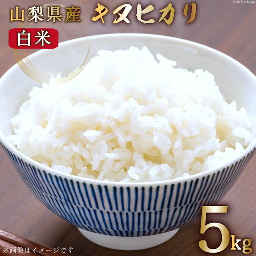 【期間限定発送】 米 令和7年産 キヌヒカリ 5kg