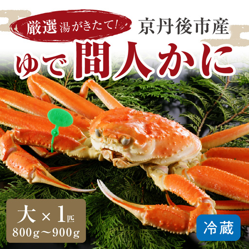 かに卸問屋がお届け・自社釜ゆで！幻のゆで間人ガニ 800ｇ～900ｇ 大サイズ （1月～3月発送）／北畿水産 かに