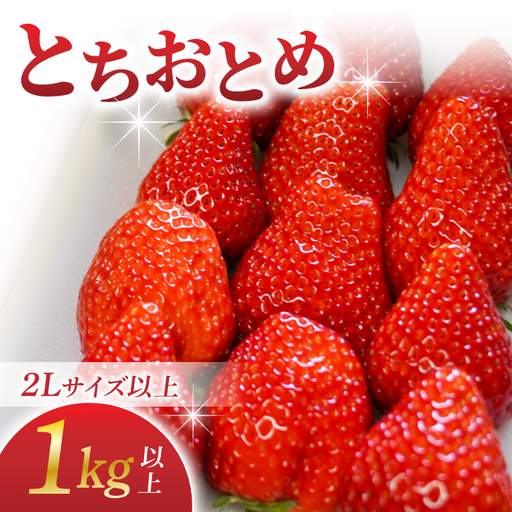 長野県産 いちご「とちおとめ」1kg以上｜BERRY PLANTS FACTORY 東御市