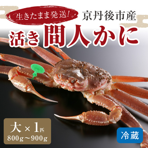 かに卸し問屋がお届け・浜競り厳選！幻の活間人ガニ 800ｇ～900ｇ 大サイズ（1月～3月発送）／北畿水産 かに
