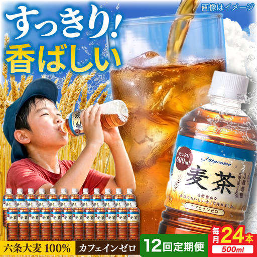 【全12回定期便】麦茶 600ml × 24本  糸島市 / スターナイン お茶 ペットボトル [ARM020]