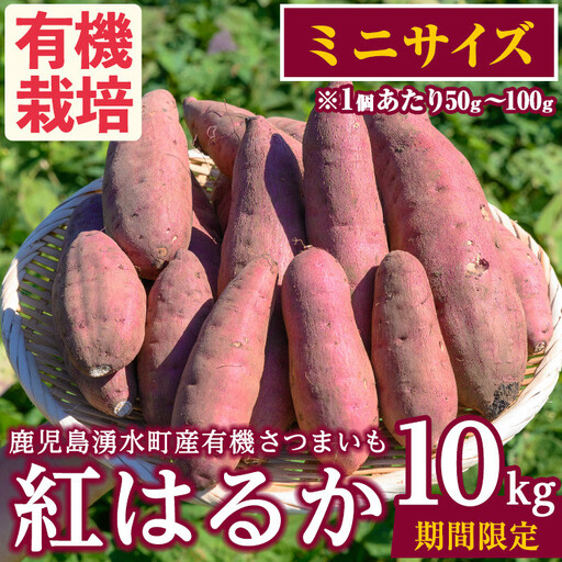 さつまいも 紅はるか 10kg サツマイモ ミニサイズ 有機【そのやま農園】_y329-B