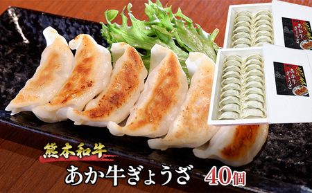 餃子 あか牛 熊本 餃子【計40個 20個×2箱】