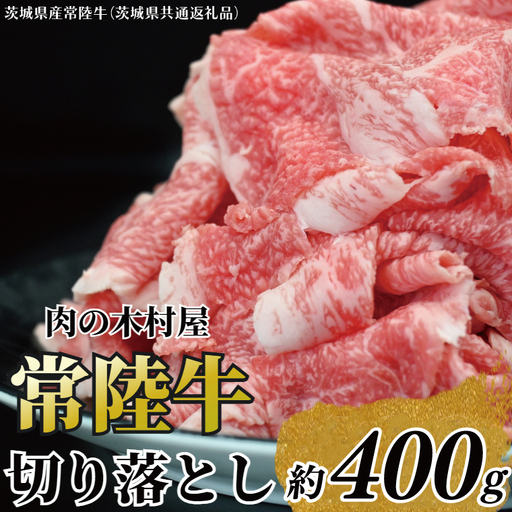 黒毛和牛 「常陸牛」 切り落とし 約400g （茨城県共通返礼品・茨城県産）ブランド牛 銘柄牛 常陸牛 牛 牛肉 肉 切落し 切落とし 茨城 茨城県産 国産 冷凍 焼肉 BBQ_DS001