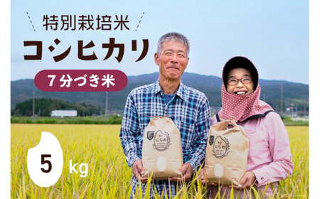 【期間限定発送】 米 令和6年 特別栽培米 コシヒカリ 7分づき 5kg ×1