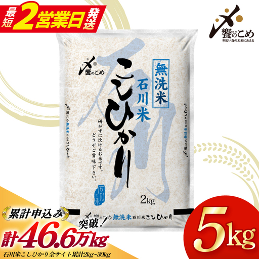 【最短2営業日発送】 無洗米 令和7年 石川米 こしひかり 5kg 無洗