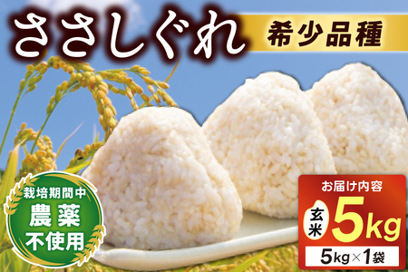 令和7年産★ ささしぐれ 5kg(玄米)