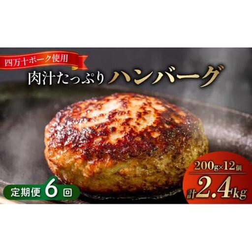 【 ハンバーグ 】 ハンバーグ6ヶ月定期便