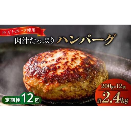 【 ハンバーグ 】 ハンバーグ12ヶ月定期便 2.4kg x 12ヶ月