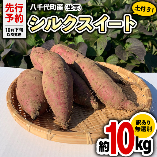 さつまいも シルクスイート 訳あり 約10kg サツマイモ