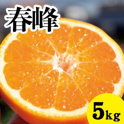 みかん[先行受付][2027年3月上旬以降発送]甘味が強くむきやすい 希少な品種 春峰 [約5kg] 広島 三原 佐木島 鷺島みかんじま 017025