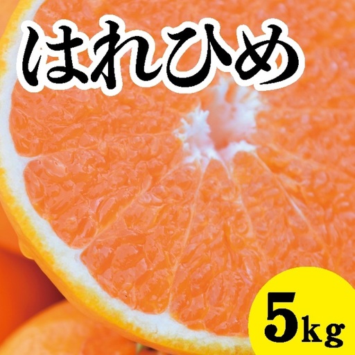みかん【先行受付】【2027年1月以降発送】 爽やかな香りと甘さに満足！ 新品種 はれひめ ＜約5kg＞ 広島 三原 佐木島 鷺島みかんじま 017018