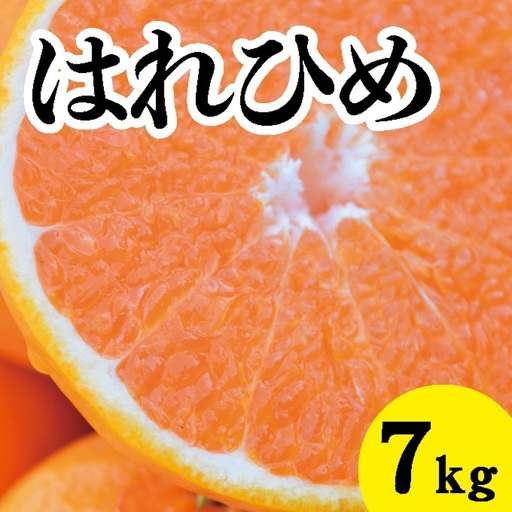 みかん【先行受付】【2027年1月以降発送】 爽やかな香りと甘さに満足！ 新品種 はれひめ ＜約7kg＞ 広島 三原 佐木島 鷺島みかんじま 017019