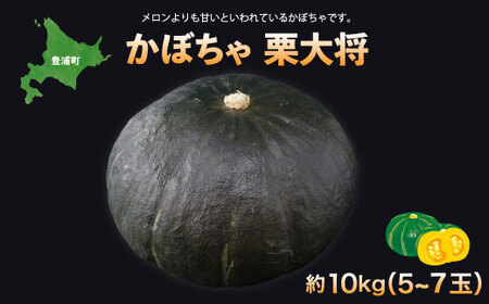 [先行予約]北海道 豊浦町 かぼちゃ 栗大将 約10kg 5-7玉[2026年9月上旬発送開始] カボチャ 南瓜 野菜 煮物 天ぷら