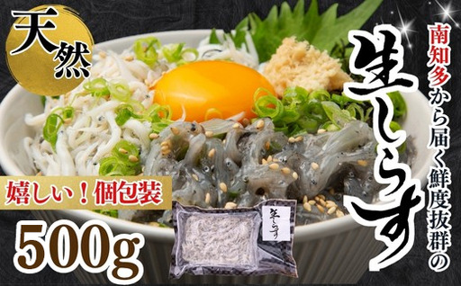 生しらす お刺身 500g 小分け 岬だより 生しらす刺し身