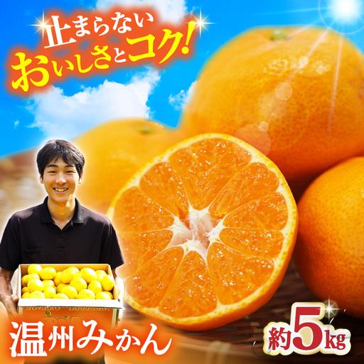 温州みかん 約5kg みかん[ACAI002]