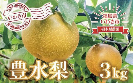 《先行予約》いわき市産梨　豊水 約3kg（約6～8個）