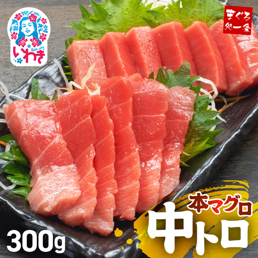 本まぐろ 中トロ 訳あり 約300g まぐろ 増量【DG007】