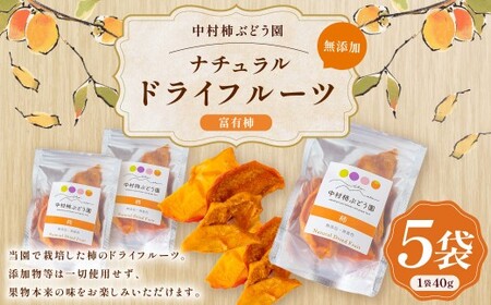 中村柿ぶどう園 ナチュラルドライフルーツ (柿) 約40g×5個