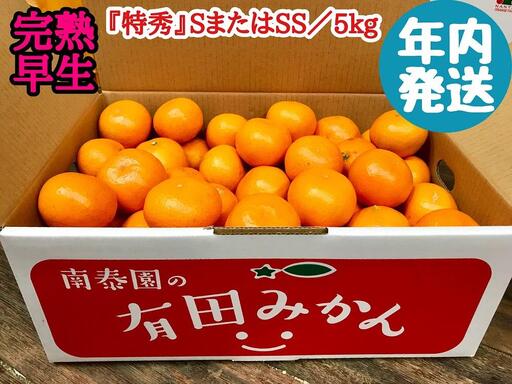 年内発送 有田みかん 特秀 S または SS サイズ みかん 5kg 和歌山 南泰園 完熟早生