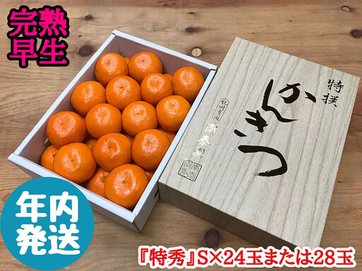 年内発送 完熟早生 有田みかん 化粧小箱 特秀 S サイズ 24玉または28玉入 和歌山 南泰園 みかん