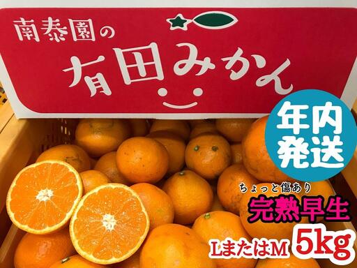 年内発送 ちょっと 傷あり 完熟早生 有田みかん L または M 5kg 和歌山 南泰園 みかん