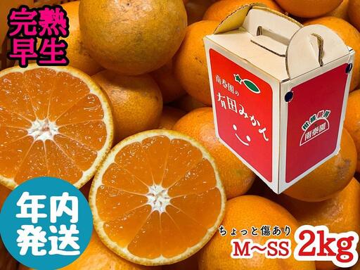 年内発送 ちょっと傷あり 完熟早生 有田みかん M ~ SS サイズ 2kg 手さげ箱 みかん