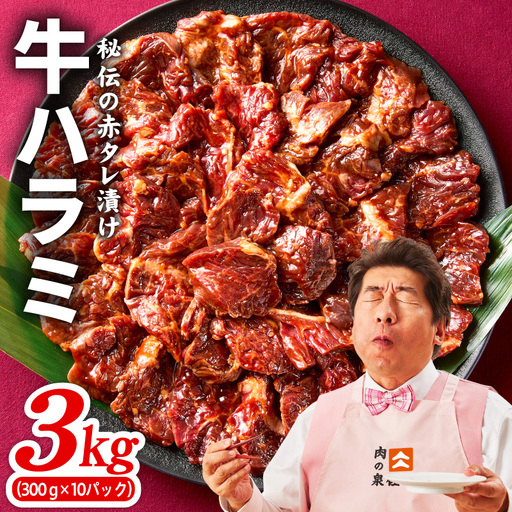 [TVで紹介!]牛ハラミ 総量 3kg タレ漬け 味付き 小分け 300g×10P