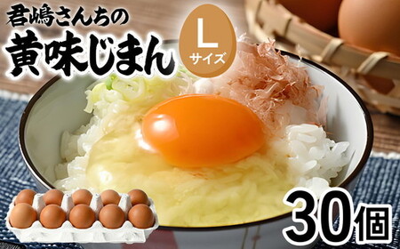 君嶋養鶏園のたまご Lサイズ 27個+割れ補償3個(10個入り×3パック)計30個