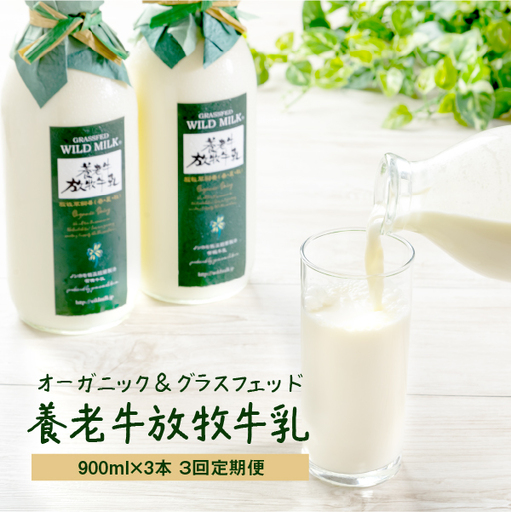 【定期便：全3回】オーガニック＆グラスフェッド養老牛放牧牛乳900ml×3本【1300802】