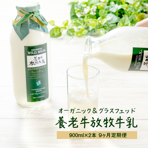 【定期便：全9回】オーガニック＆グラスフェッド養老牛放牧牛乳900ml×2本【1301402】