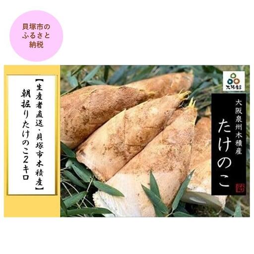 ＜2027年3月下旬発送予定＞【生産者直送・貝塚市木積産】朝掘りたけのこ２kg