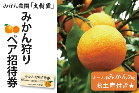 【先行予約】【10月中旬より発送開始】みかん狩り　ペア招待券（お土産付き）【埼玉県 春日部市 ふるさと納税 観光 農業体験 レジャー 予約 チケット カップル シニア おでかけ】（CH001-1）