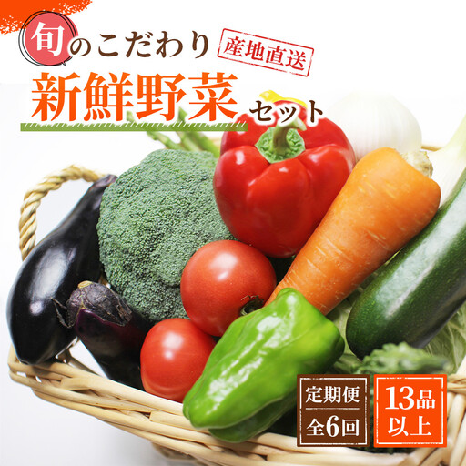 野菜セット【定期便 / 全6回：奇数月お届け】旬の新鮮野菜B（たっぷり13種類以上）