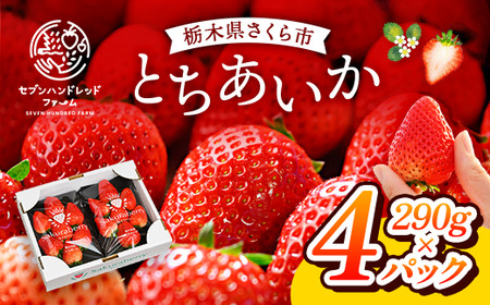 いちご とちあいか 290g×4パック ※2026年12月～発送