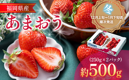 あまおう 福岡産[冬]あまおう 2パック 合計500g (1パックあたり250g) いちご 苺 果物 フルーツ 九州産 福岡県産 冷蔵 送料無料[12月上旬発送開始予定]