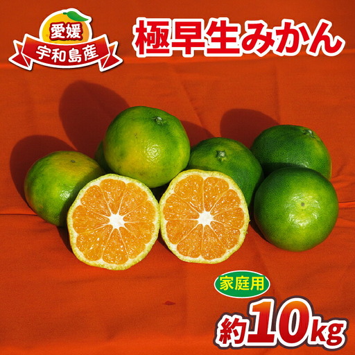 【ご家庭用】極早生みかん10kgWF|みかん(B010-024015)