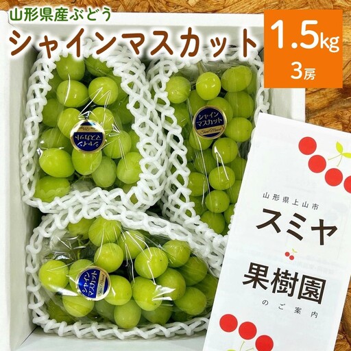 ぶどう（シャインマスカット）１.５ｋｇ（房小さめ）　0047-2610