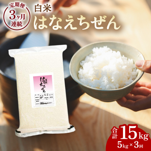 はなえちぜん 白米 5kg×3回 3ヶ月連続 定期便 15kg 真空パック ハナエチゼン 米 簡易梱包 エコ梱包