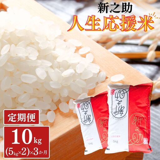 新之助 定期便10kg(5kg×2)×3か月 人生応援米 令和8年産 新之助 アグリ巧房 