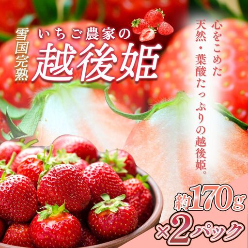 【先行予約】越後姫 いちご 雪国完熟 約170g×2P 越後姫 フルーツ