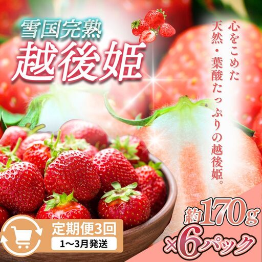 【先行予約 定期便3回】越後姫 いちご 雪国完熟 1〜3月 170g×6回 いちご