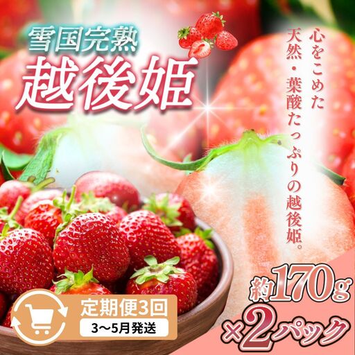 【先行予約 定期便3回】越後姫 いちご 雪国完熟 3〜5月 170g×2回 いちご