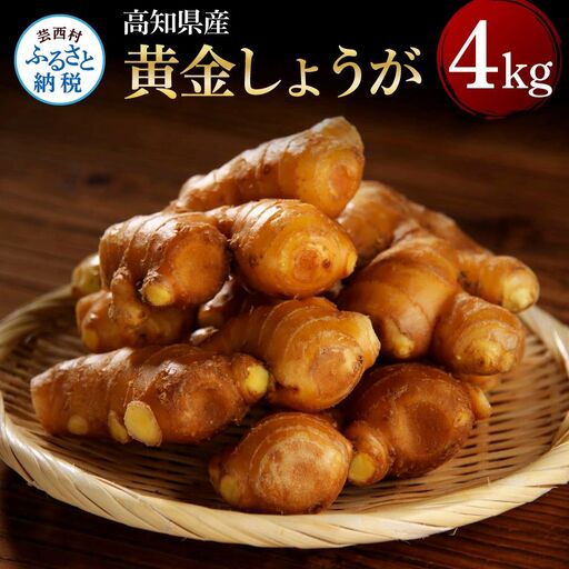 高知県産黄金しょうが4kg 