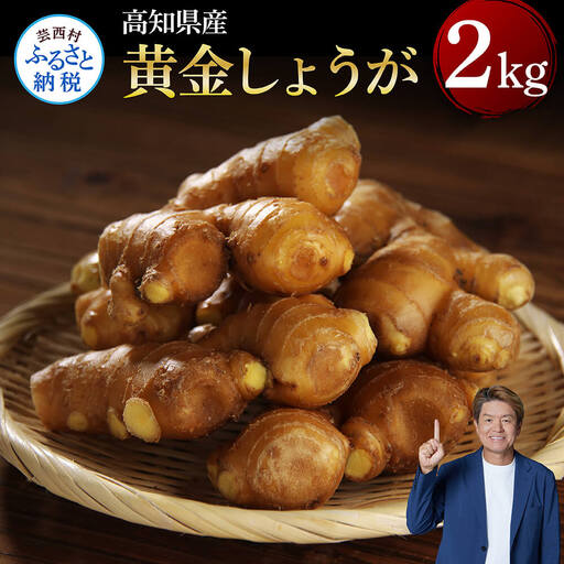 [高知県産]黄金しょうが 2kg